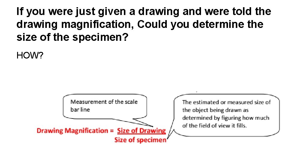 If you were just given a drawing and were told the drawing magnification, Could