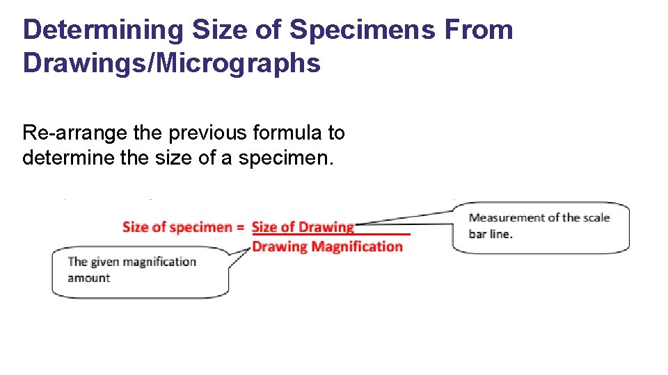 Determining Size of Specimens From Drawings/Micrographs Re-arrange the previous formula to determine the size