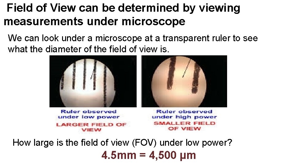 Field of View can be determined by viewing measurements under microscope We can look