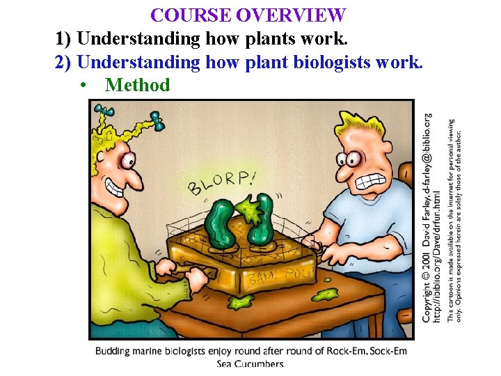 COURSE OVERVIEW 1) Understanding how plants work. 2) Understanding how plant biologists work. •