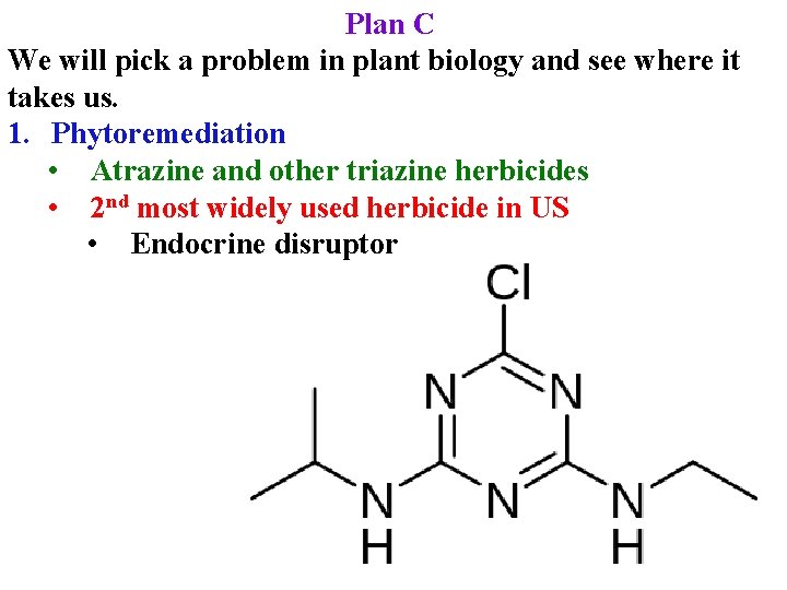 Plan C We will pick a problem in plant biology and see where it