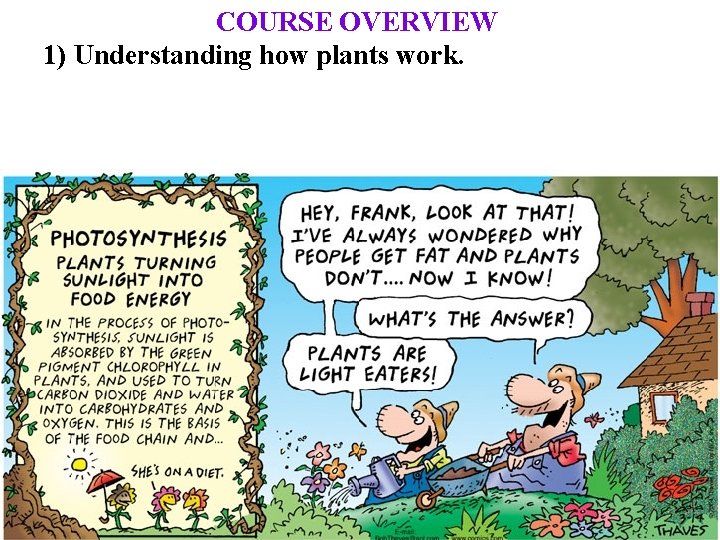 COURSE OVERVIEW 1) Understanding how plants work. 