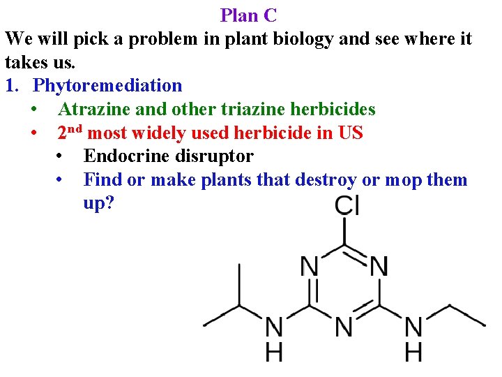 Plan C We will pick a problem in plant biology and see where it