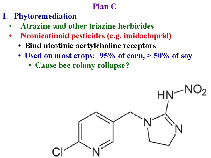 Plan C 1. Phytoremediation • Atrazine and other triazine herbicides • Neonicotinoid pesticides (e.