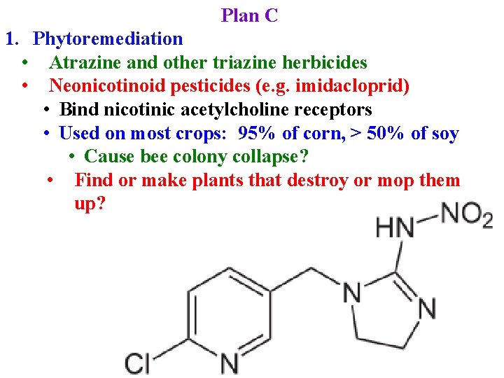 Plan C 1. Phytoremediation • Atrazine and other triazine herbicides • Neonicotinoid pesticides (e.