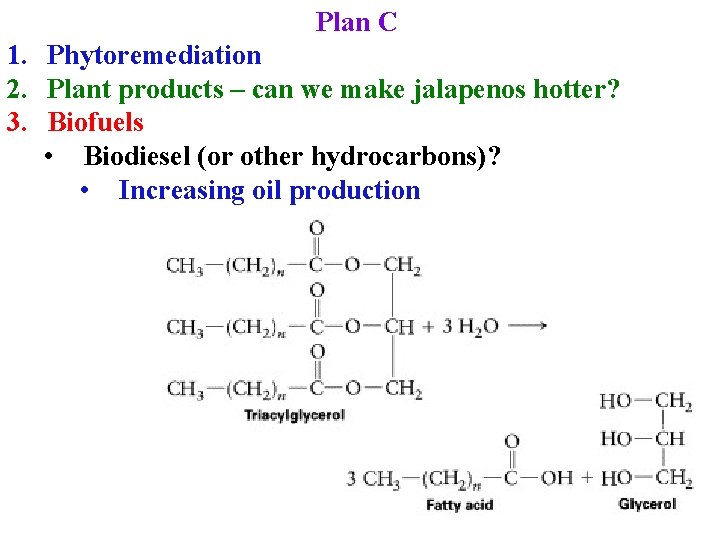 Plan C 1. Phytoremediation 2. Plant products – can we make jalapenos hotter? 3.