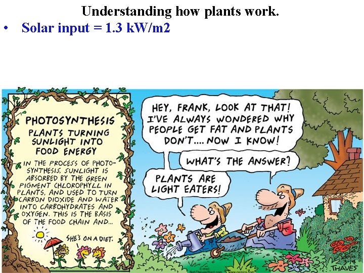 Understanding how plants work. • Solar input = 1. 3 k. W/m 2 