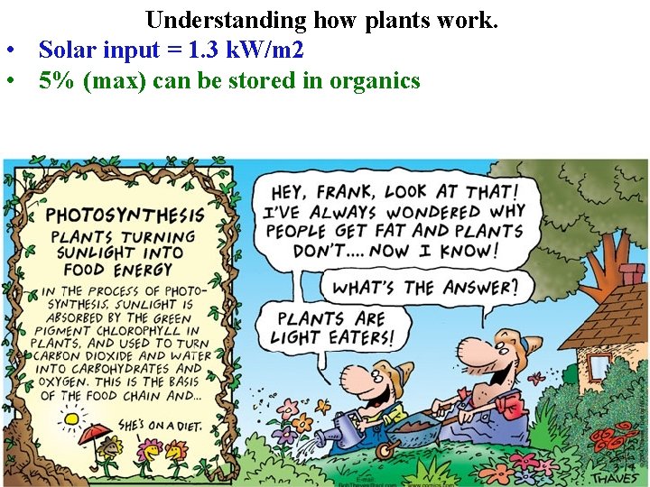 Understanding how plants work. • Solar input = 1. 3 k. W/m 2 •