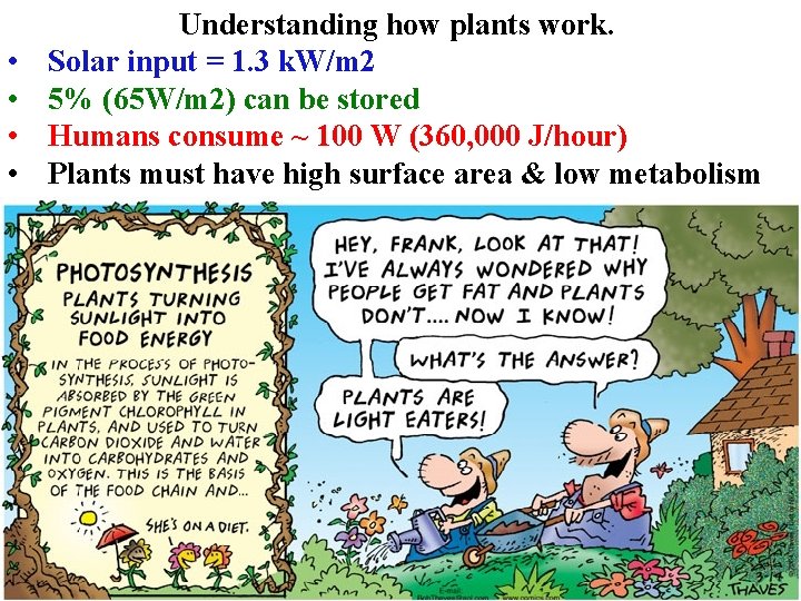  • • Understanding how plants work. Solar input = 1. 3 k. W/m