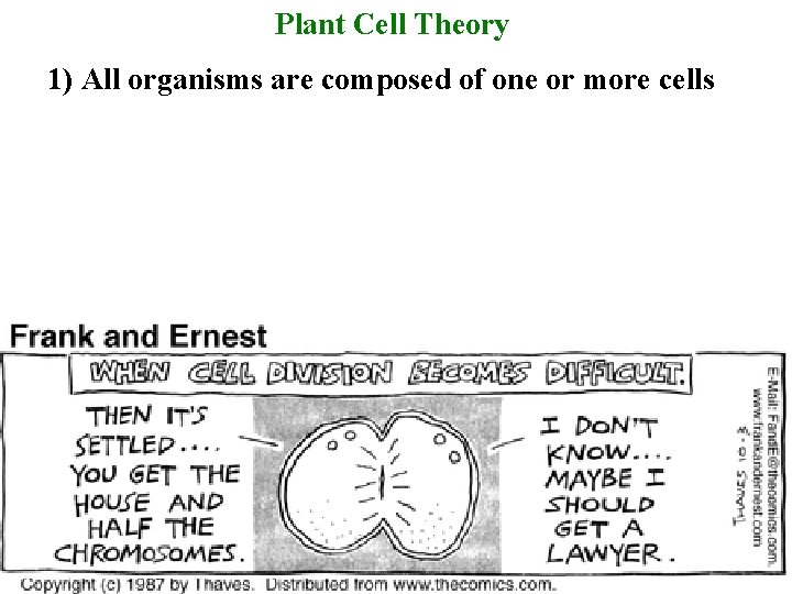 Plant Cell Theory 1) All organisms are composed of one or more cells 