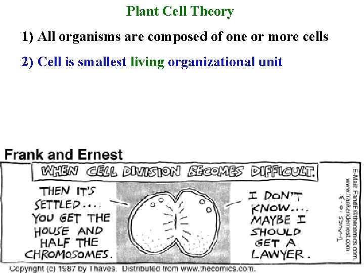 Plant Cell Theory 1) All organisms are composed of one or more cells 2)