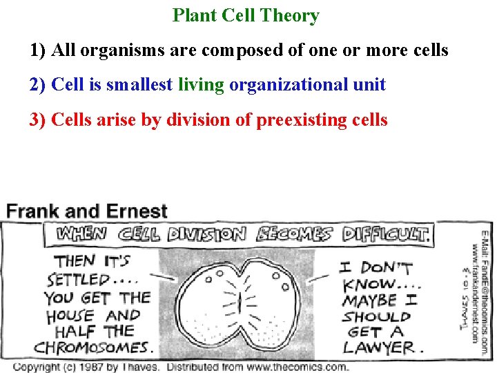 Plant Cell Theory 1) All organisms are composed of one or more cells 2)