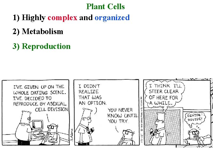 Plant Cells 1) Highly complex and organized 2) Metabolism 3) Reproduction 