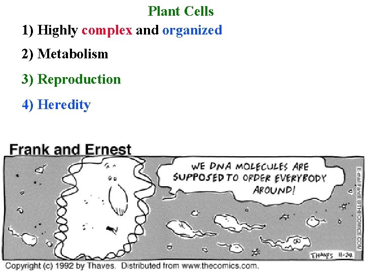 Plant Cells 1) Highly complex and organized 2) Metabolism 3) Reproduction 4) Heredity 