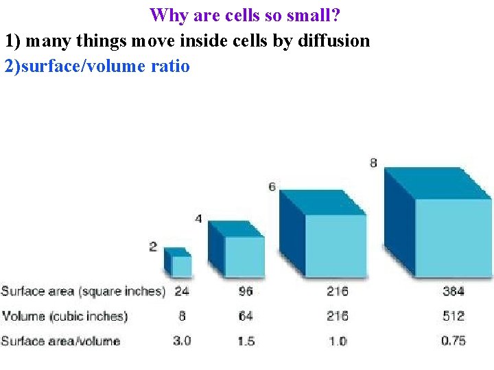 Why are cells so small? 1) many things move inside cells by diffusion 2)surface/volume