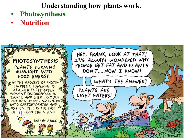 Understanding how plants work. • Photosynthesis • Nutrition 