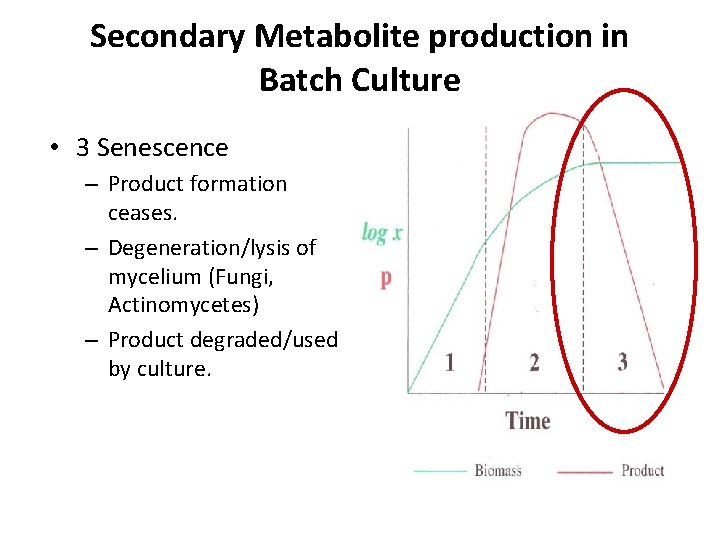 Secondary Metabolite production in Batch Culture • 3 Senescence – Product formation ceases. –
