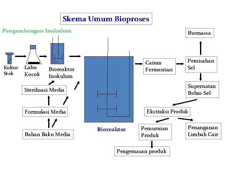 Skema Umum Bioproses Pengembangan Inokulum Kultur Stok Labu Kocok Biomassa Cairan Fermentasi Bioreaktor Inokulum