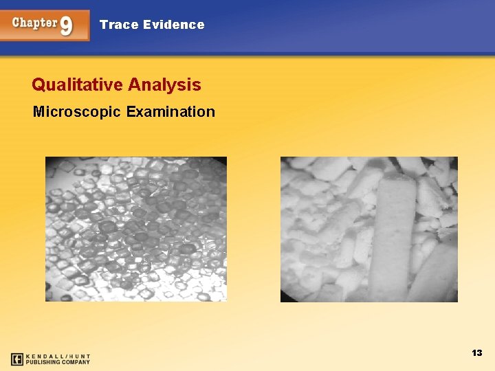 Trace Evidence Qualitative Analysis Microscopic Examination 13 