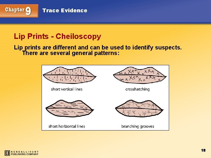 Trace Evidence Lip Prints - Cheiloscopy Lip prints are different and can be used