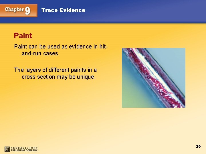 Trace Evidence Paint can be used as evidence in hitand-run cases. The layers of