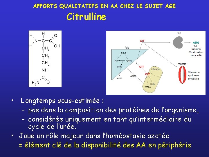 APPORTS QUALITATIFS EN AA CHEZ LE SUJET AGE Citrulline • Longtemps sous-estimée : –