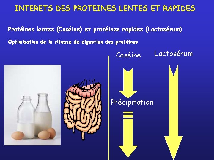 INTERETS DES PROTEINES LENTES ET RAPIDES Protéines lentes (Caséine) et protéines rapides (Lactosérum) Optimisation