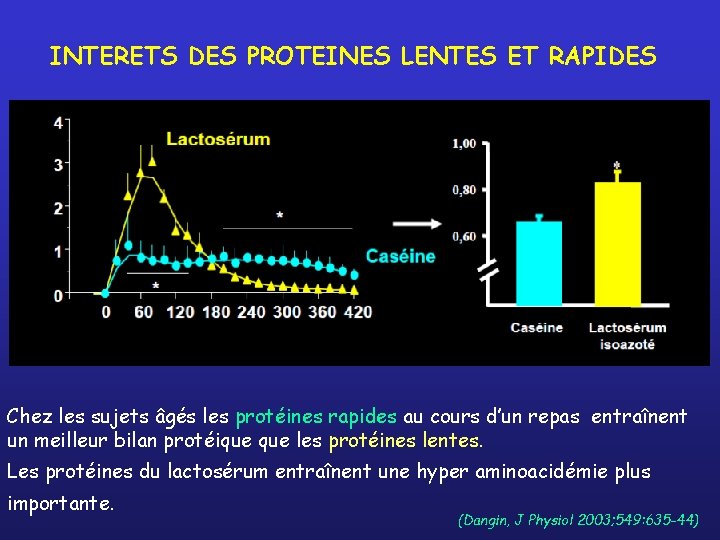 INTERETS DES PROTEINES LENTES ET RAPIDES Chez les sujets âgés les protéines rapides au