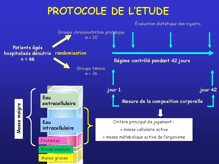 PROTOCOLE DE L’ETUDE Évaluation diététique des ingesta Groupe chrononutrition protéique n = 30 Patients