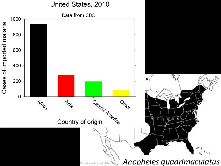 Data from CDC Will malaria re-enter the US? Anopheles quadrimaculatus 