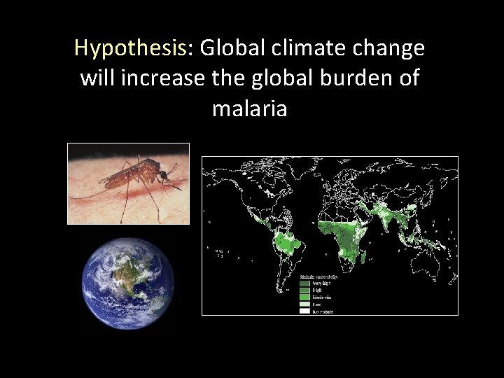 Hypothesis: Global climate change will increase the global burden of malaria 