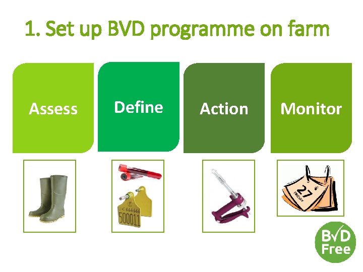 1. Set up BVD programme on farm Assess Define Action Monitor 