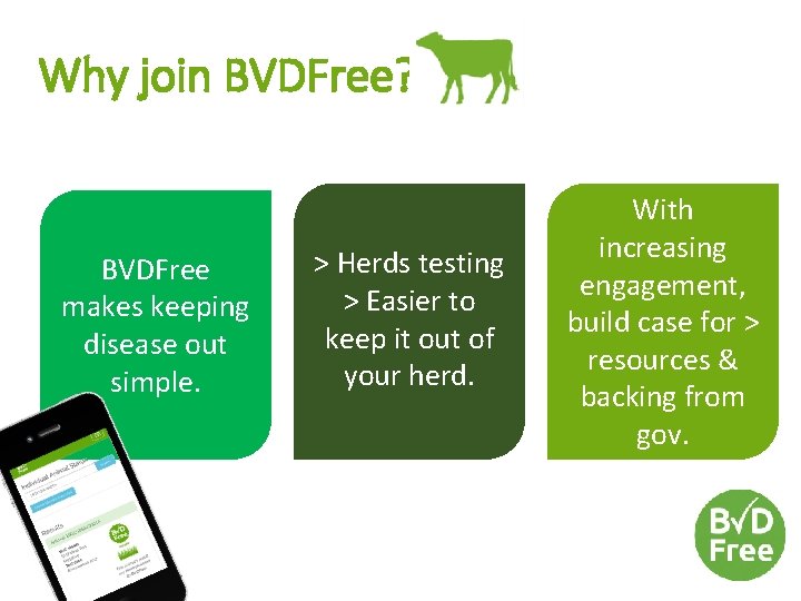 Why join BVDFree? BVDFree makes keeping disease out simple. > Herds testing > Easier