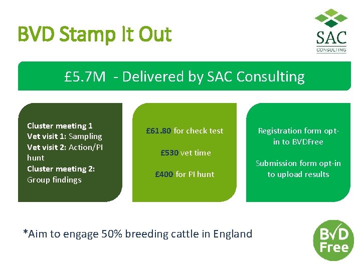 BVD Stamp It Out £ 5. 7 M - Delivered by SAC Consulting Cluster