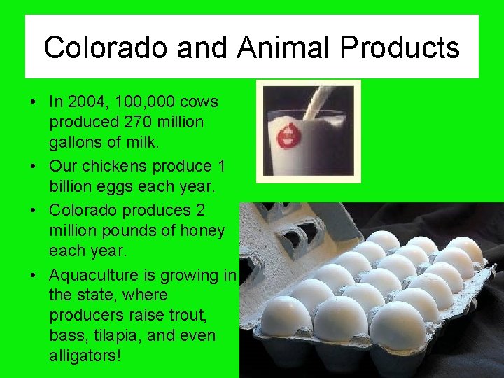 Colorado and Animal Products • In 2004, 100, 000 cows produced 270 million gallons