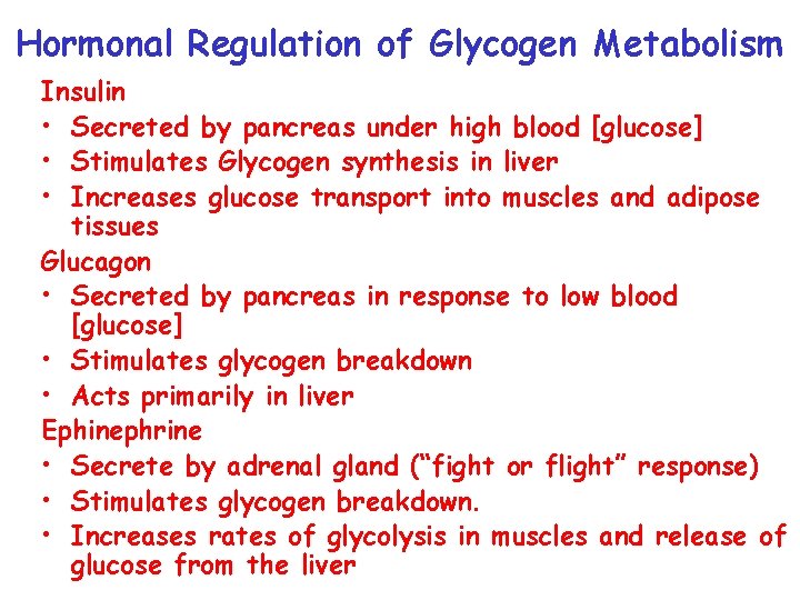 Hormonal Regulation of Glycogen Metabolism Insulin • Secreted by pancreas under high blood [glucose]