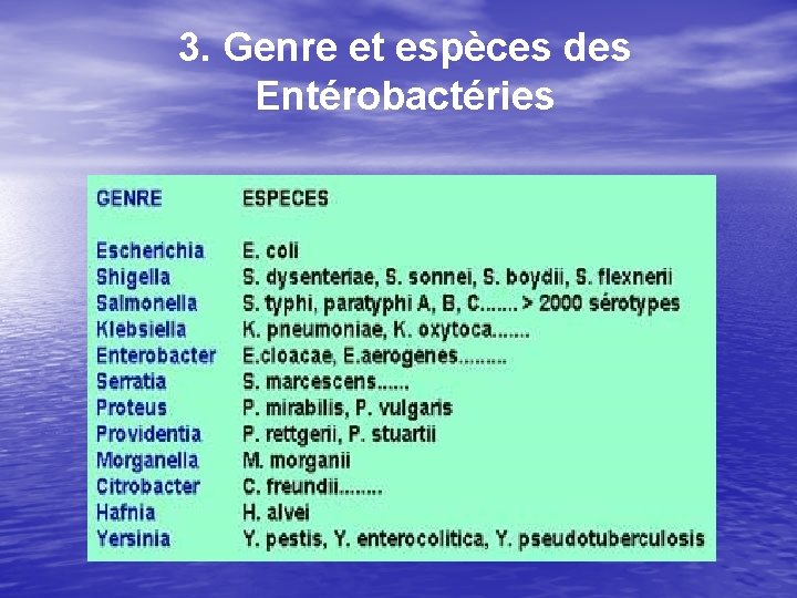 3. Genre et espèces des Entérobactéries 