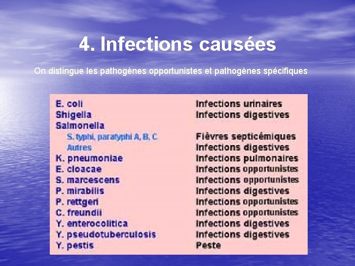 4. Infections causées On distingue les pathogènes opportunistes et pathogènes spécifiques 