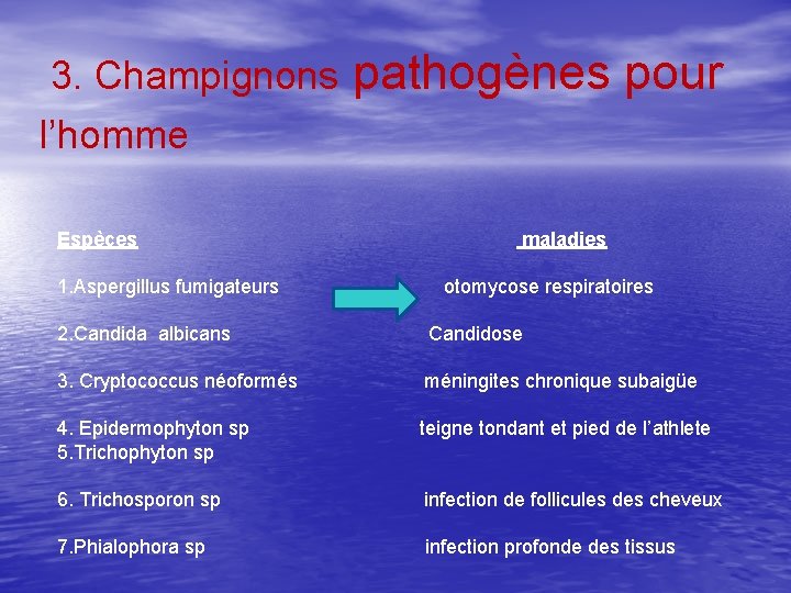  3. Champignons pathogènes pour l’homme Espèces maladies 1. Aspergillus fumigateurs otomycose respiratoires 2.