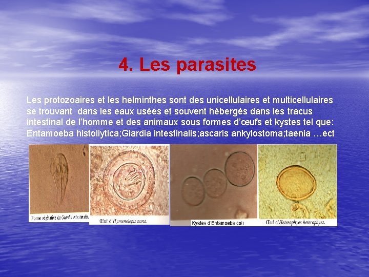 4. Les parasites Les protozoaires et les helminthes sont des unicellulaires et multicellulaires se