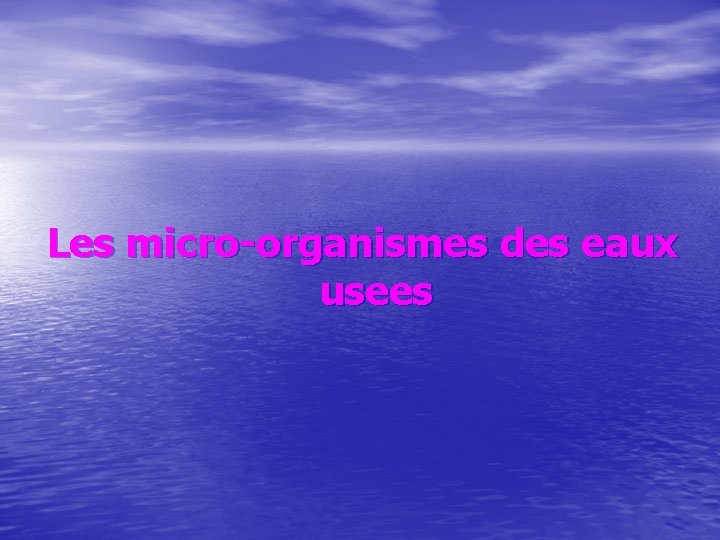 Les micro-organismes des eaux usees 