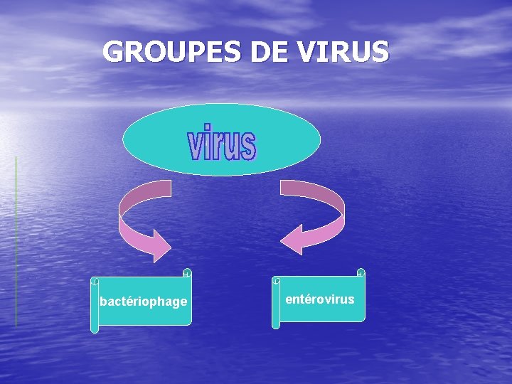 GROUPES DE VIRUS virus bactériophage entérovirus 