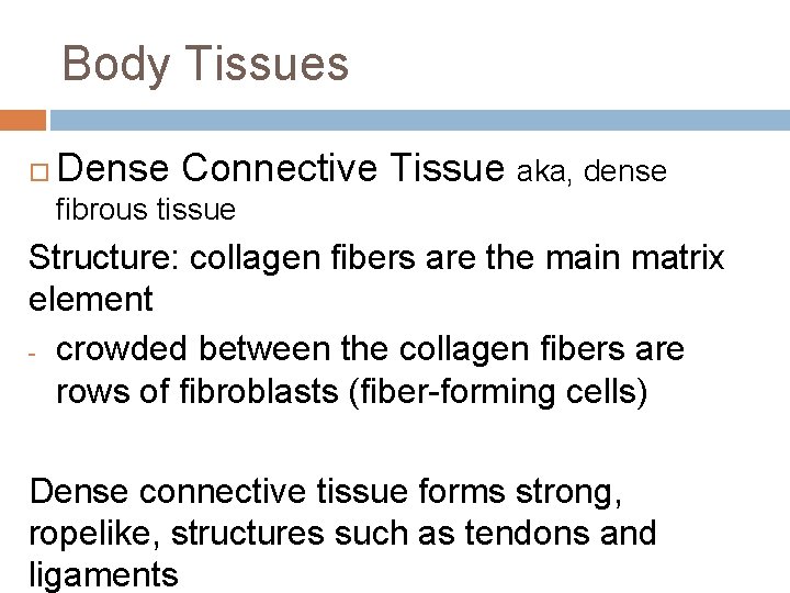 Body Tissues Dense Connective Tissue aka, dense fibrous tissue Structure: collagen fibers are the
