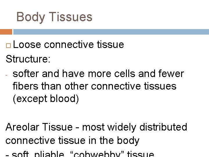 Body Tissues Loose connective tissue Structure: - softer and have more cells and fewer