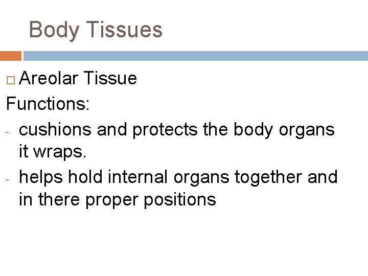 Body Tissues Areolar Tissue Functions: - cushions and protects the body organs it wraps.