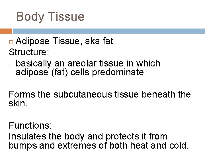 Body Tissue Adipose Tissue, aka fat Structure: - basically an areolar tissue in which