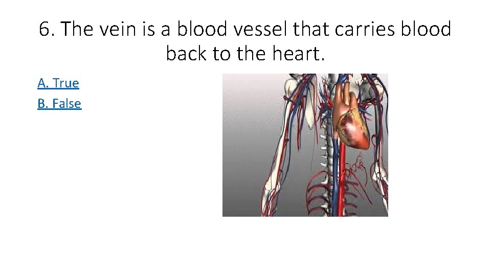 6. The vein is a blood vessel that carries blood back to the heart.