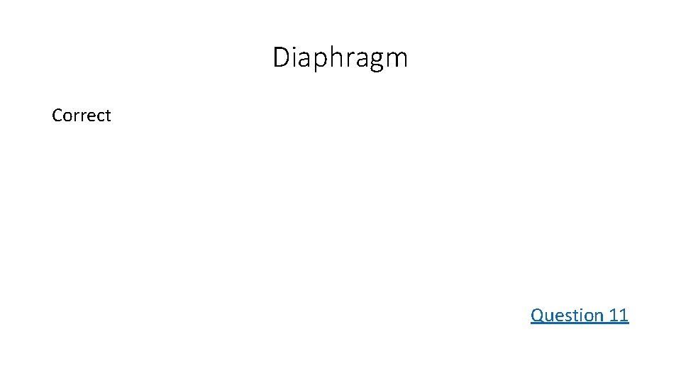 Diaphragm Correct Question 11 
