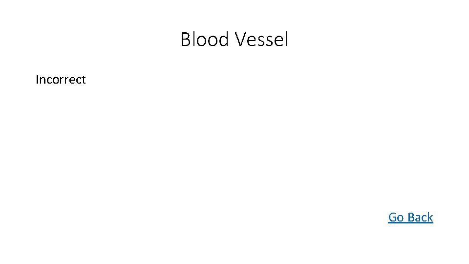 Blood Vessel Incorrect Go Back 