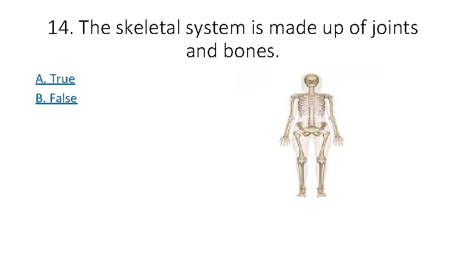 14. The skeletal system is made up of joints and bones. A. True B.